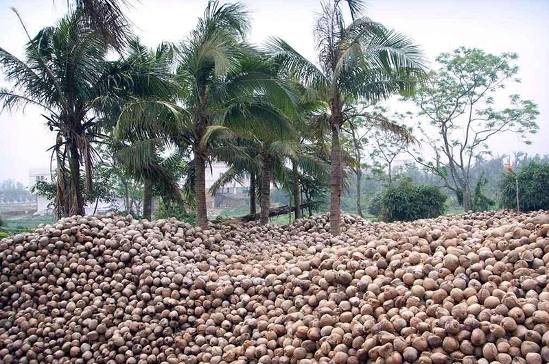 椰壳-连续式炭化炉物料