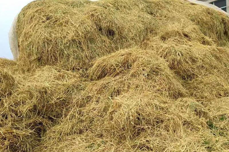 秸秆能做炭？秸秆炭化能做什么？秸秆连续式炭化炉前景如何？