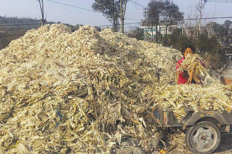 将甘蔗渣进行炭化可以提升它的经济价值