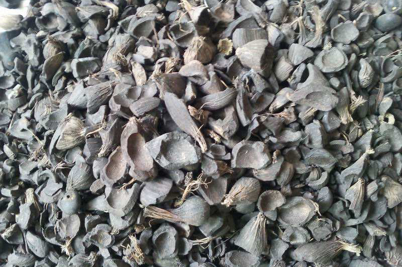 棕榈壳连续式炭化炉