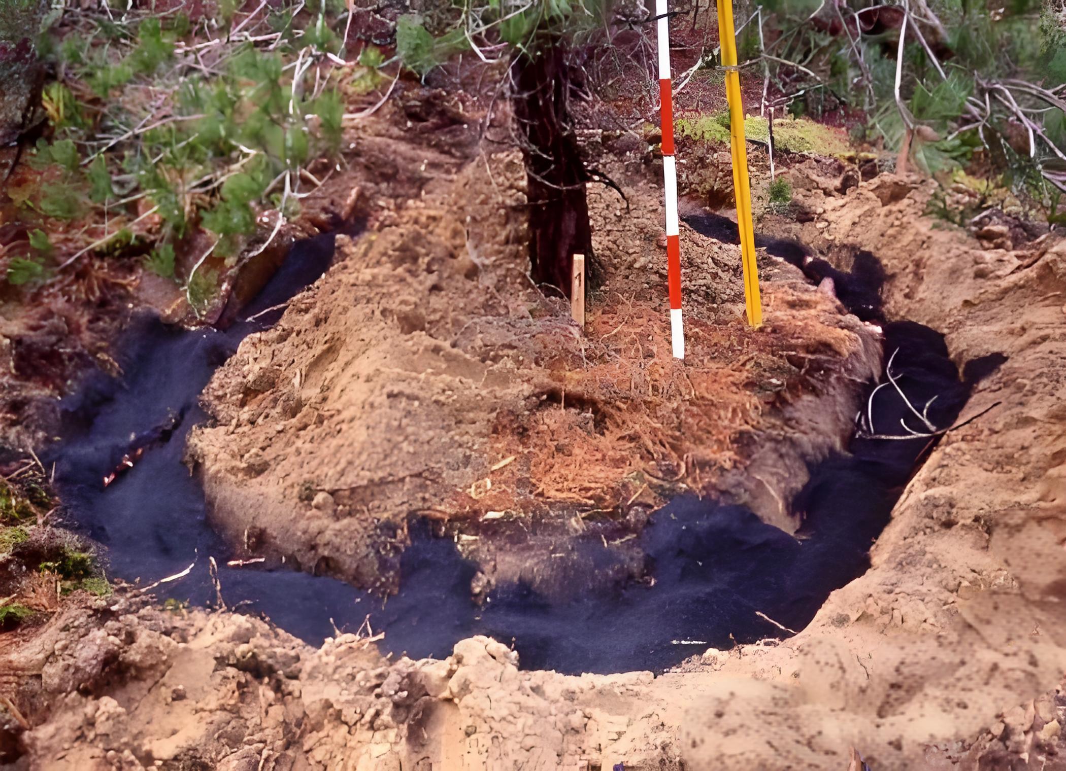 <strong>生物质炭化炉制作活性炭，用于土壤改良</strong>