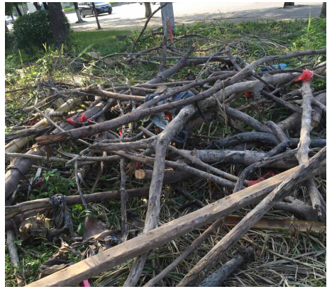 <strong>树枝碳化功能多，连续式炭化炉高效制炭</strong>