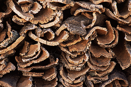 <strong>变废为宝：树皮碳化利润高</strong>