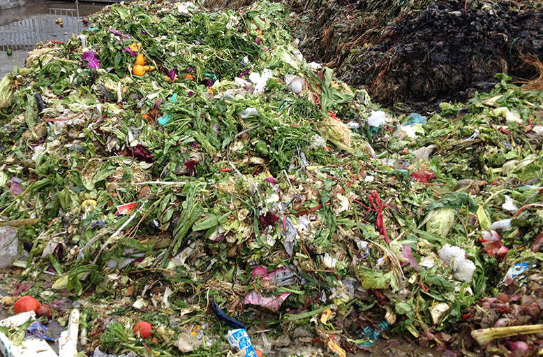 果蔬垃圾的新出路：碳化处理的潜力与价值