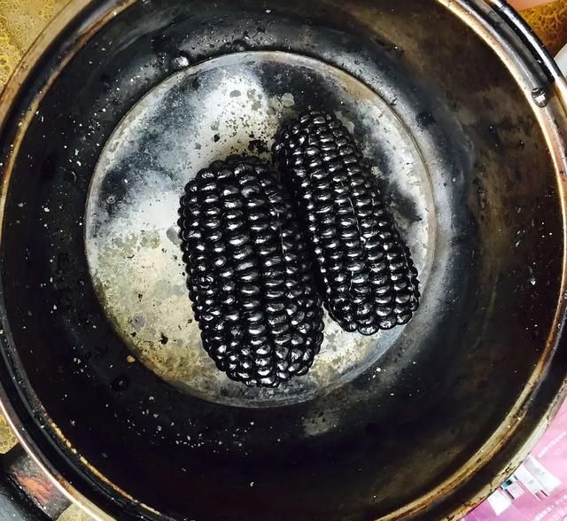 <strong> 生物质碳化处理：科学与严谨的转化之旅</strong>