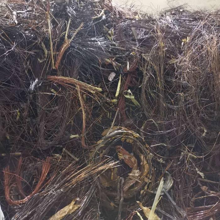 <strong>让废弃漆包线重焕生机——连续式脱漆技术的应用</strong>