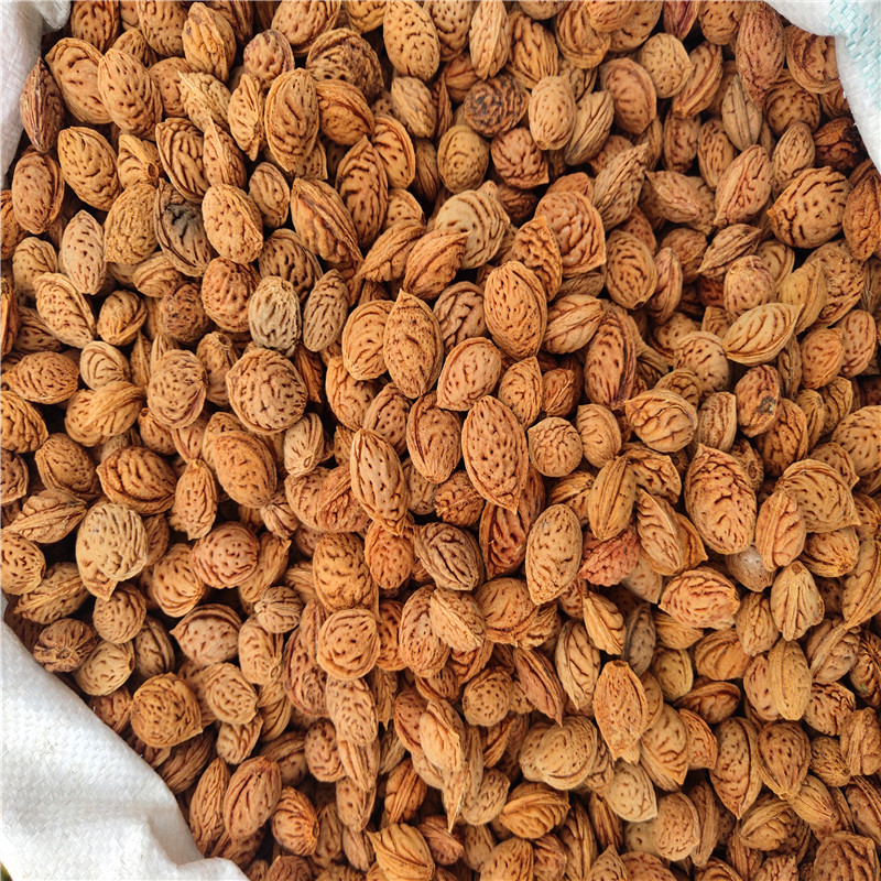 <strong>桃核壳与核桃壳的碳化利用：环保与价值的双重提升</strong>