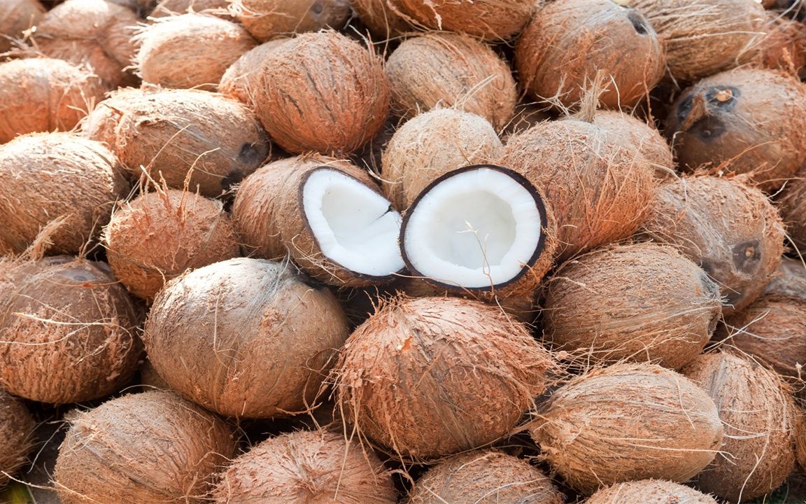 <strong>椰壳变椰壳炭：连续式碳化炉大显身手</strong>