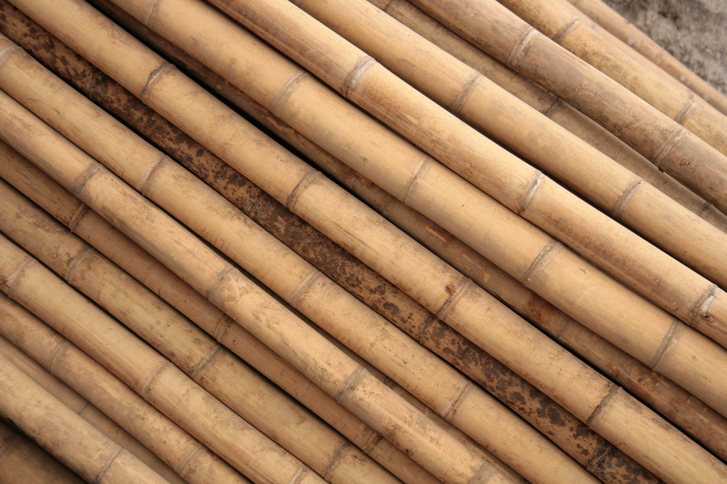 <strong>竹子破碎与连续式碳化炉处理全解析</strong>