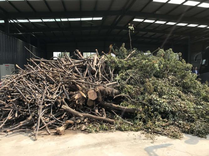 <strong>园林修剪残枝败叶的华丽转身：连续式炭化炉的绿色实践</strong>