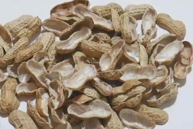 连续式炭化炉：废弃花生壳转化成工业燃料