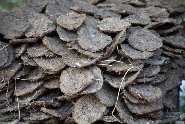 <strong>牛粪变身记：连续式炭化炉开启新“钱”景</strong>